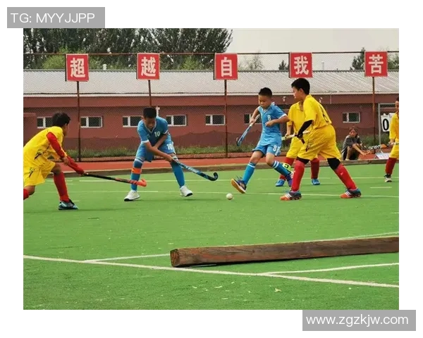 乒乓球的魅力与精神:深入了解杭州乒乓球队的训练与文化