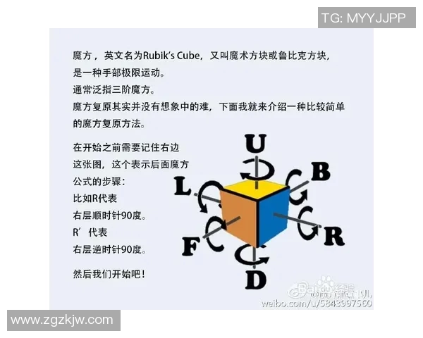 极限运动爱好者必看的防护垫选购指南与推荐技巧 极限运动爱好者必看的防护垫选购指南与推荐技巧