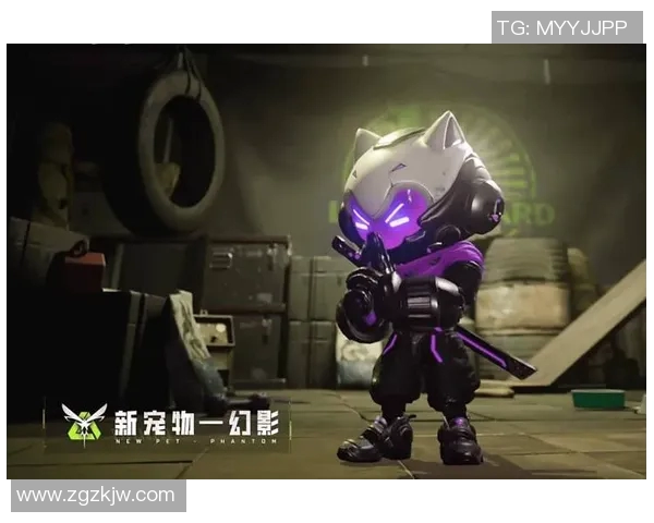 王丽独家分享CSGO游戏心得与技巧助你提升竞技水平